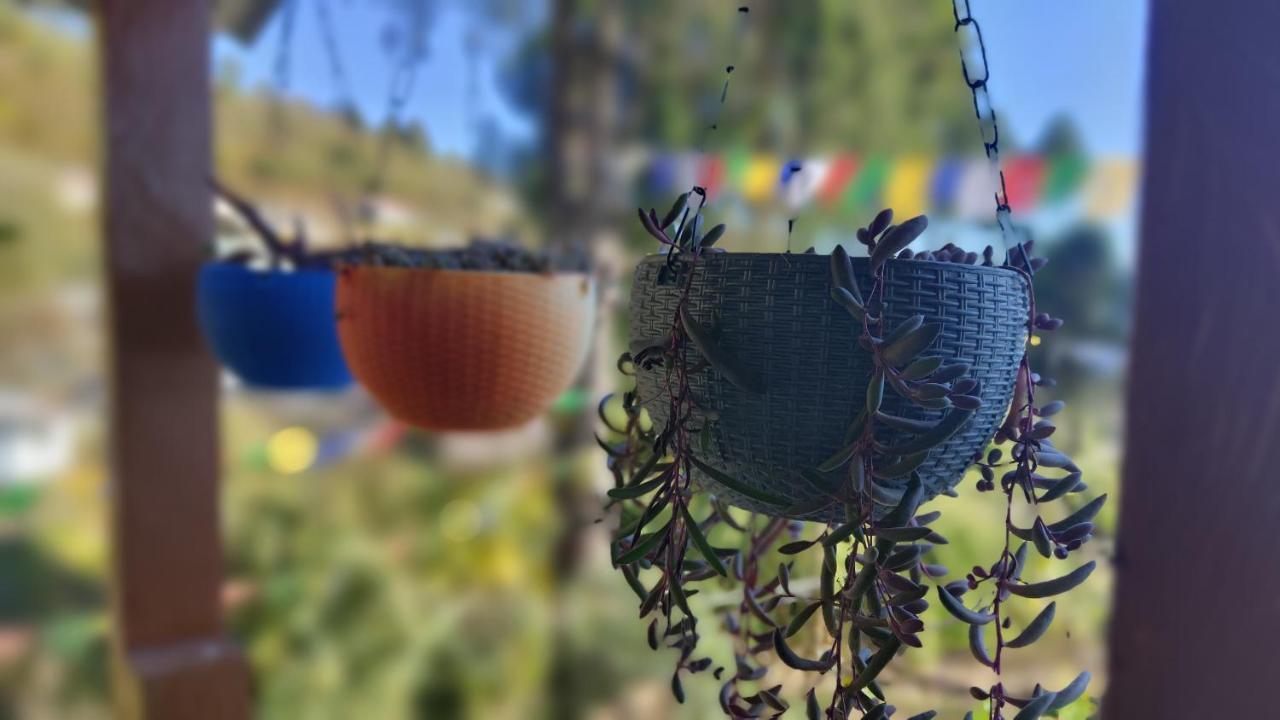 Tenzo Homestay Bomdila Zewnętrze zdjęcie